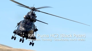 RAF Puma