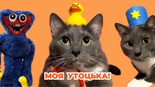 КОТИКИ В ШКОЛЕ - ЛОТКОВ В ПОИСКАХ УТЬКИ