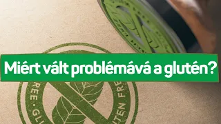 Miért vált problémává a glutén?