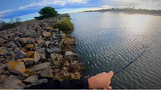 SEABASS FISHING CHALLENGE: 1 Lure, 1 Hour, 1 Technique