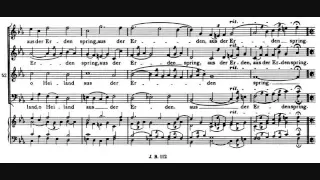 Brahms - O Heiland reiß die Himmel auf, motet, Op. 74 No. 2