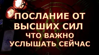 💌 ПОСЛАНИЕ ОТ ВЫСШИХ СИЛ 🕊️ ЧТО ВАЖНОЕ ОНИ ВАМ ХОТЯТ СКАЗАТЬ Таротерапия #tarot#gadanie#таросегодня