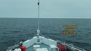 Белое море, Соловки 29.05.2024г