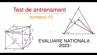 Test de antrenament nr. 10 pentru Evaluare Nationala (2023)