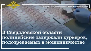 Ирина Волк: В Свердловской области полицейские задержали курьеров, подозреваемых в мошенничестве