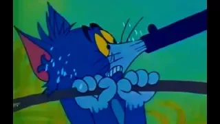 Tom And Jerry English Episodes - Sorry Safari - Cartoons For Kids