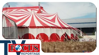 Zirkusleben hautnah - Wie ist es im Zirkus zu leben? | FocusTV Reportage