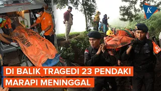 Di Balik Tragedi 23 Pendaki Meninggal Saat Erupsi Gunung Marapi...