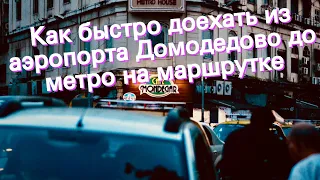 Как быстро доехать из аэропорта Домодедово до метро на маршрутке