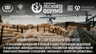 Онлайн круглый стол 15 декабря 2020 10:00 (МСК)