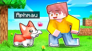 5 Minecraft Puppy PRANKS To Help Your FRIENDS!