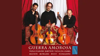 Sonata No. 1 for Viola d'Amore and Violone in D Major: I. Allegro moderato