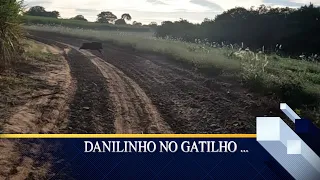 Este caiu no rasto , caçada ao javali ...