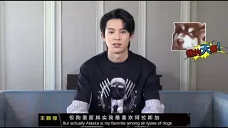 F4 interview about pets! ENG SUB - New Dylan Wang / Darren Chen / Caesar Wu / Connor Leong