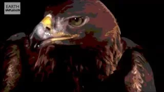 the eagle song - Red Shadow Singers