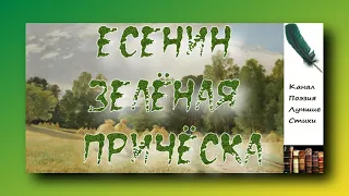 Есенин Сергей Зелёная причёска Читает Лев Литвинов