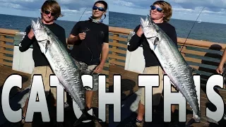 How to Catch GIANT FISH on the PIER!!!! (Trolley Rig Basics)