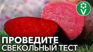 Свекла и здоровье почек: где правда?