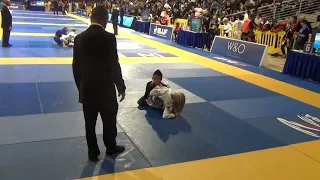 2018 IBJJF PAN Kids Fight 3