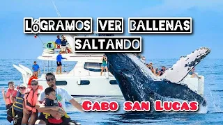 ballenas saltando en el arco de cabo san Lucas  #avistamientos  #ballenasjorobadas  #turismo
