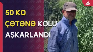 Kənd sakini çay sahilində plantasiya saldı - APA TV