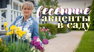 Яркий сад весной! Как разместить луковичные в цветниках