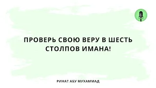 1523. Проверь свою веру в шесть столпов имана! || Ринат Абу Мухаммад