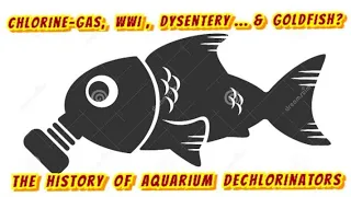 Dechlorinators Are Lowering Shrimp & Fish Fertility! Is It Even Safe?- History of Water Conditioners