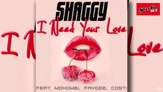 Shaggy feat Mohombi Faydee Costi - I Need Your Love (Single)