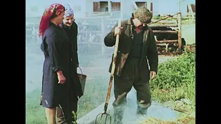 "Костёр причина пожара" 1988г.