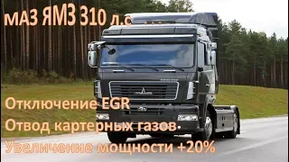 МАЗ ЯМЗ 310 л.с. - удаление ЕГР, увеличение мощности +20%, отвод картерных газов