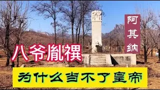 八爷胤禩最想当皇帝，机关算尽却死活没当上，被改名阿其那是小狗