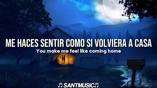 DJ Aligator - Feel Like Coming Home // Subtitulada al Español + Lyrics