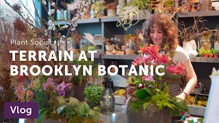 Tour TERRAIN + CHERRY BLOSSOMS at Brooklyn Botanic Gardens