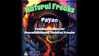 PSYCORE MIX 180-244BPM Natural Freaks by PAYAO