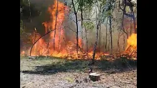 Лісова пожежа у Володимирецькій тергромаді