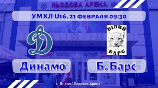 УМХЛ U16 / Динамо (Днепр) - Белый Барс / 21.02.21
