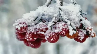 КАЛИНА КРАСНАЯ Муз И.Слуцкого,ст В.Цыганова исп Г Погорельская