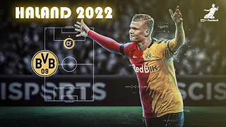 Erling Haaland 2022 ● Goals & Skills - HD