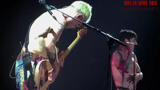 Red Hot Chili Peppers - Right on Time [SBD Audio] (Bologna, 08/10/2016)