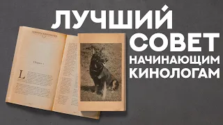 Истоки служебного собаководства. Лучший совет начинающим кинологам. Best advice for young cynologist