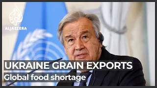 UN hopes to restore Ukraine grain exports amid global food crisis