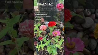 Christian ASMR | Verse a Day: Psalm 62:1-2