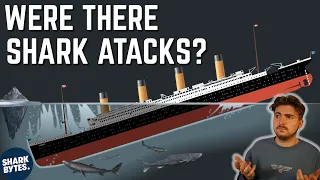 Were there Shark ATTACKS After the TITANIC Sank?