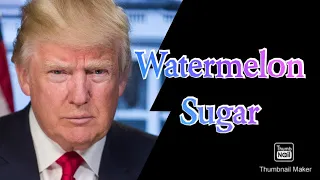 Harry Styles - Watermelon Sugar (Donald Trump Cover)