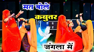 मत बोल र कबुतर मारा जंगला म ll सिंगर शंकर बिधूड़ी ~ Rajsthani Hit Song #viral #trend #dance