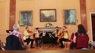 Barbara Pravi's 'Violá' - Didsbury String Quartet Plays Eurovision!