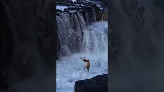 The most dangerous swimming spot in Hawaii #shorts