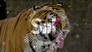 mamakobra - Я дружу с тиграми | 2024
