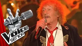 Cat Stevens - The First Cut Is The Deepest (Geff Harrison) | The Voice Senior | Sing-Offs | SAT.1